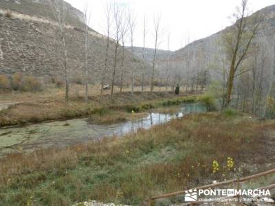 informacion sobre el tejo;mochila para trekking;clubes de senderismo madrid